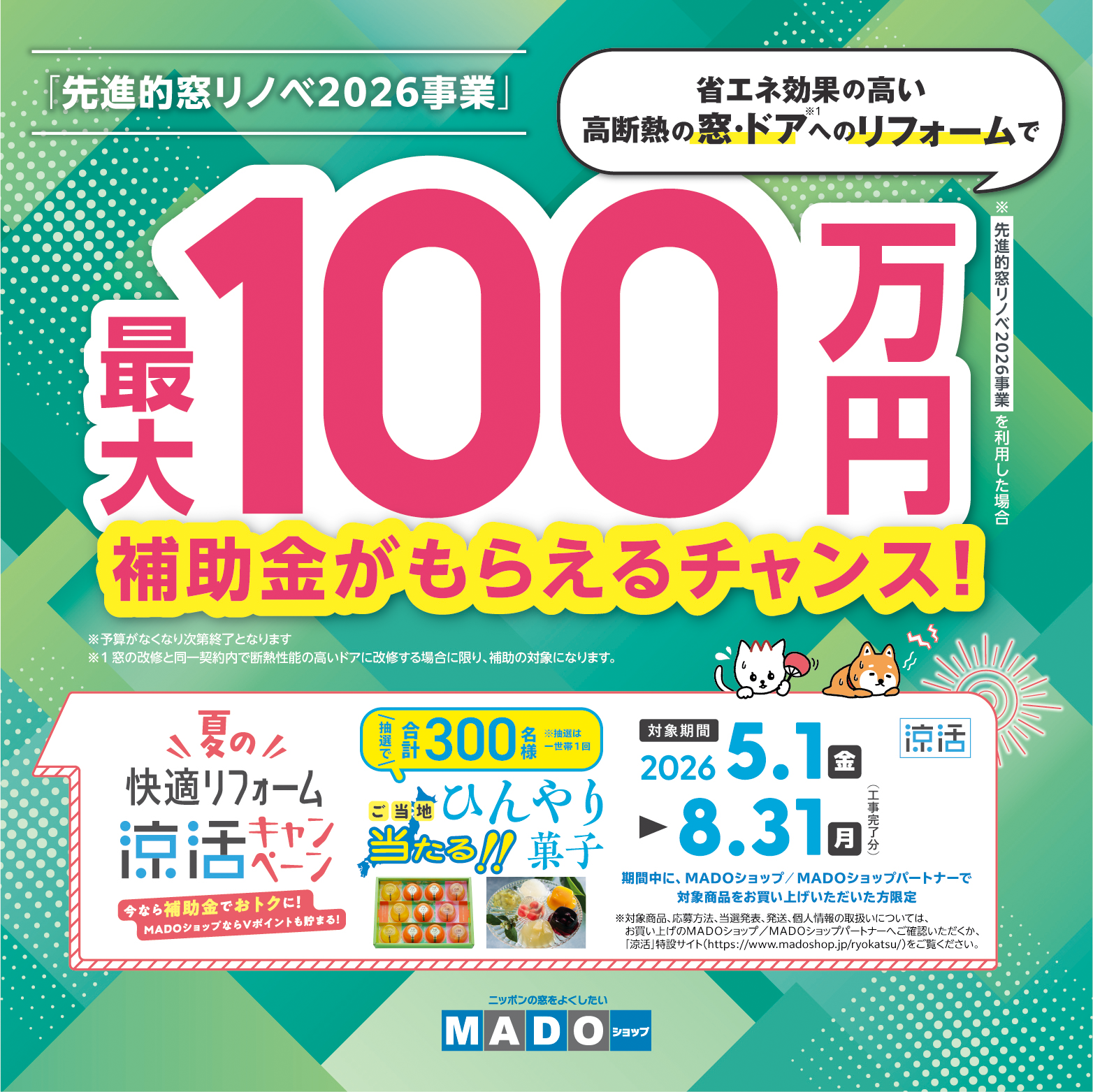 MADOショップ涼活キャンペーン