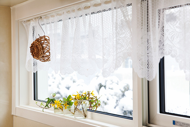 マドリモ 北海道