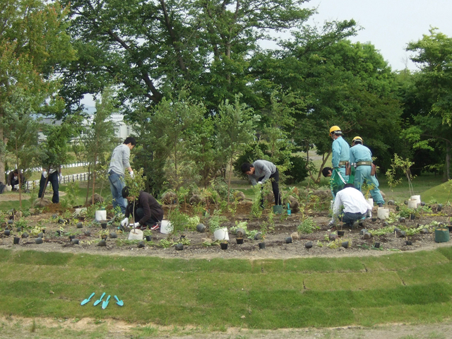 YKKセンターパーク 植樹の様子